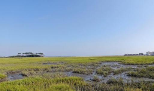Photo #3 of SOLD property in 1275 Jacks Circle, North Myrtle Beach, SC 0.4 acres