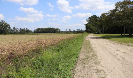 Photo #10 of SOLD property in Off Old Dover Road, Dover, NC 52.5 acres