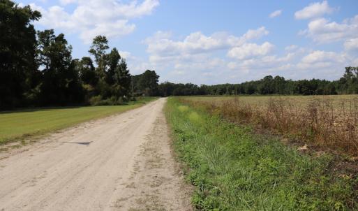 Photo #11 of SOLD property in Off Old Dover Road, Dover, NC 52.5 acres