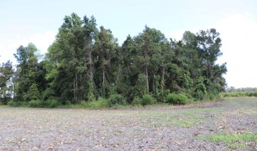 Photo #17 of SOLD property in Off Old Dover Road, Dover, NC 52.5 acres
