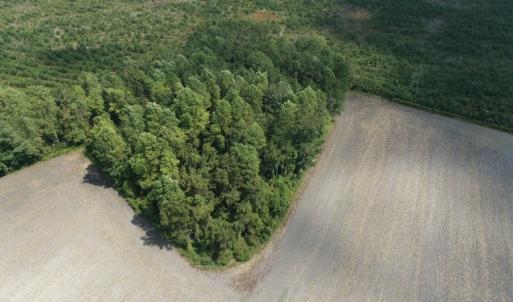 Photo #18 of SOLD property in Off Old Dover Road, Dover, NC 52.5 acres