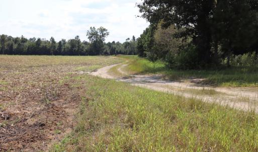 Photo #20 of SOLD property in Off Old Dover Road, Dover, NC 52.5 acres