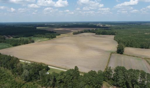 Photo #4 of SOLD property in Off Old Dover Road, Dover, NC 52.5 acres