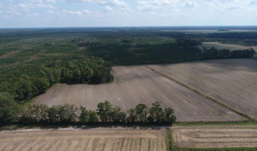 Photo #7 of SOLD property in Off Old Dover Road, Dover, NC 52.5 acres