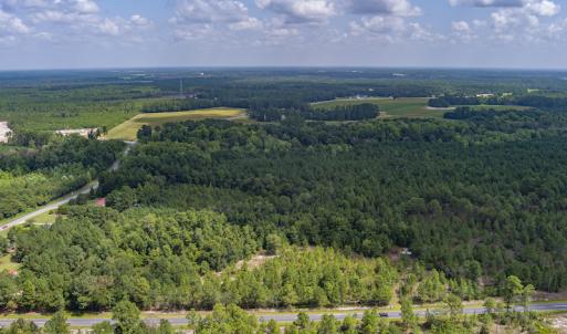 Photo #10 of SOLD property in Off Scronce Road  , Harrells, NC 10.5 acres