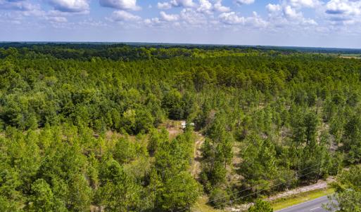 Photo #11 of SOLD property in Off Scronce Road  , Harrells, NC 10.5 acres