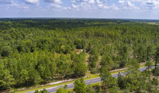 Photo #13 of SOLD property in Off Scronce Road  , Harrells, NC 10.5 acres