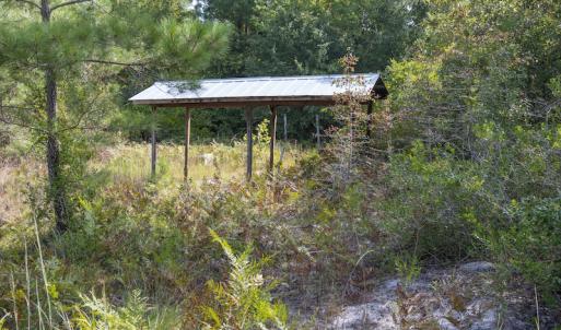 Photo #18 of SOLD property in Off Scronce Road  , Harrells, NC 10.5 acres