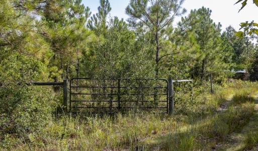 Photo #19 of SOLD property in Off Scronce Road  , Harrells, NC 10.5 acres