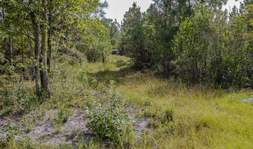 Photo #21 of SOLD property in Off Scronce Road  , Harrells, NC 10.5 acres