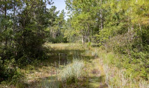 Photo #22 of SOLD property in Off Scronce Road  , Harrells, NC 10.5 acres