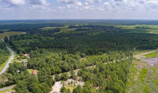 Photo #3 of SOLD property in Off Scronce Road  , Harrells, NC 10.5 acres