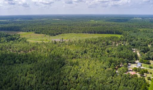 Photo #6 of SOLD property in Off Scronce Road  , Harrells, NC 10.5 acres