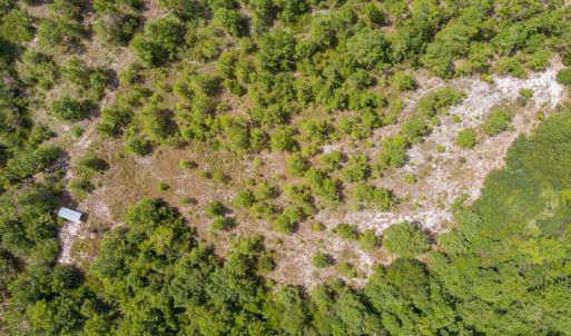 Photo #7 of SOLD property in Off Scronce Road  , Harrells, NC 10.5 acres