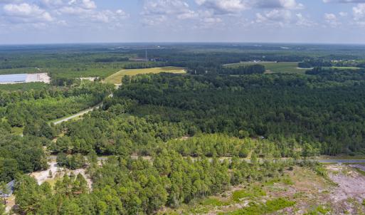 Photo #9 of SOLD property in Off Scronce Road  , Harrells, NC 10.5 acres