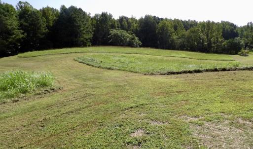 Photo #18 of 750 Bright Road, White Plains, VA 60.5 acres