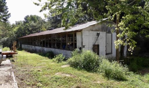 Photo #29 of 750 Bright Road, White Plains, VA 60.5 acres