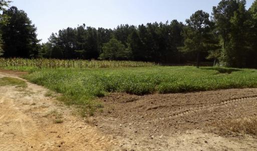 Photo #34 of 750 Bright Road, White Plains, VA 60.5 acres