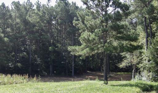 Photo #35 of 750 Bright Road, White Plains, VA 60.5 acres