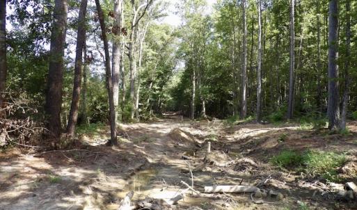 Photo #36 of 750 Bright Road, White Plains, VA 60.5 acres