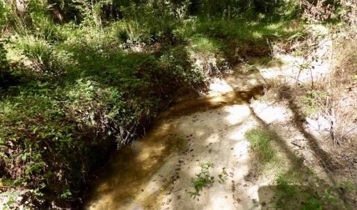 Photo #38 of 750 Bright Road, White Plains, VA 60.5 acres