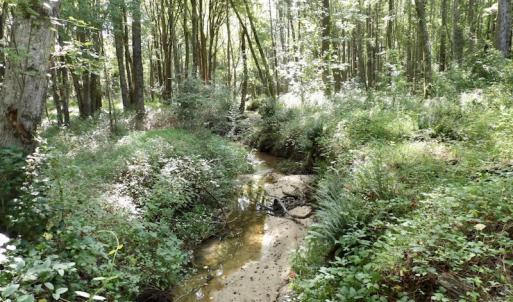 Photo #39 of 750 Bright Road, White Plains, VA 60.5 acres