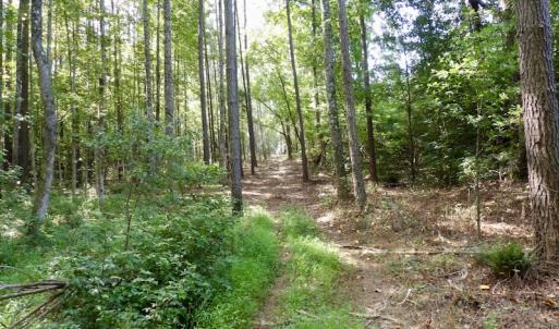 Photo #40 of 750 Bright Road, White Plains, VA 60.5 acres