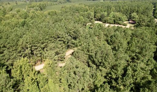 Photo #46 of 750 Bright Road, White Plains, VA 60.5 acres