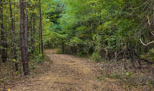 Photo #11 of SOLD property in Off Country Club Road, Roxboro, NC 21.9 acres