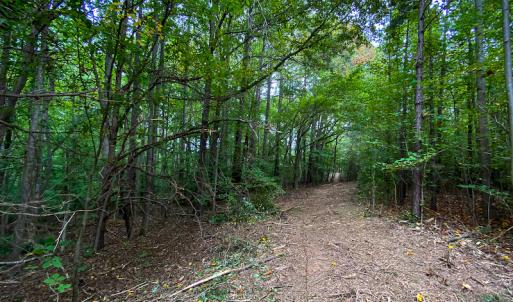 Photo #12 of SOLD property in Off Country Club Road, Roxboro, NC 21.9 acres