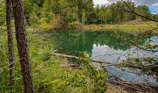 Photo #14 of SOLD property in Off Country Club Road, Roxboro, NC 21.9 acres