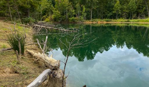Photo #15 of SOLD property in Off Country Club Road, Roxboro, NC 21.9 acres