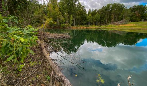 Photo #16 of SOLD property in Off Country Club Road, Roxboro, NC 21.9 acres
