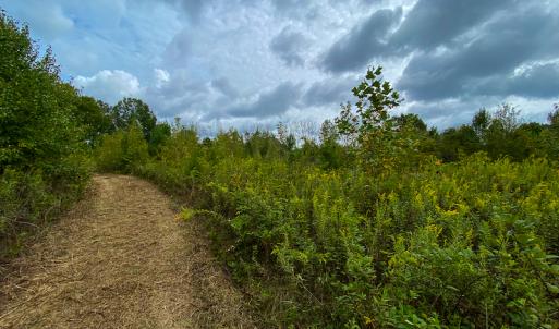 Photo #17 of SOLD property in Off Country Club Road, Roxboro, NC 21.9 acres