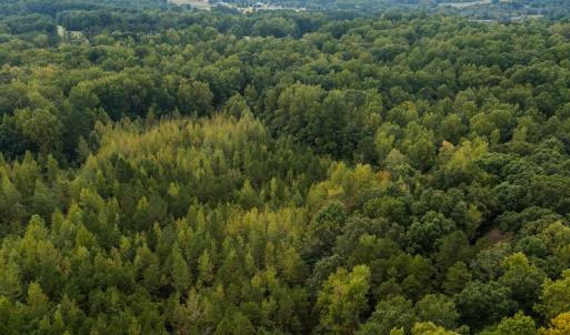 Photo #20 of SOLD property in Off Country Club Road, Roxboro, NC 21.9 acres