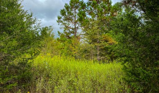 Photo #2 of SOLD property in Off Country Club Road, Roxboro, NC 21.9 acres
