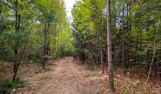 Photo #3 of SOLD property in Off Country Club Road, Roxboro, NC 21.9 acres