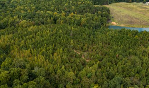 Photo #23 of SOLD property in Off Country Club Road, Roxboro, NC 21.9 acres