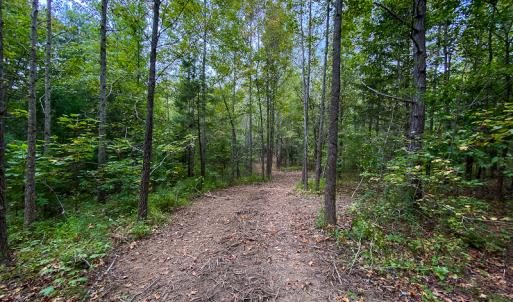 Photo #4 of SOLD property in Off Country Club Road, Roxboro, NC 21.9 acres