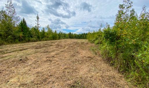 Photo #53 of SOLD property in Off Country Club Road, Roxboro, NC 21.9 acres