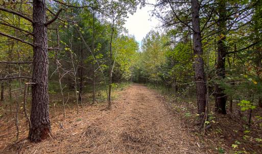 Photo #5 of SOLD property in Off Country Club Road, Roxboro, NC 21.9 acres