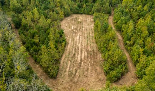 Photo #39 of SOLD property in Off Country Club Road, Roxboro, NC 21.9 acres