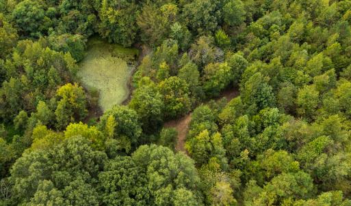 Photo #42 of SOLD property in Off Country Club Road, Roxboro, NC 21.9 acres
