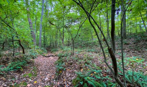 Photo #7 of SOLD property in Off Country Club Road, Roxboro, NC 21.9 acres
