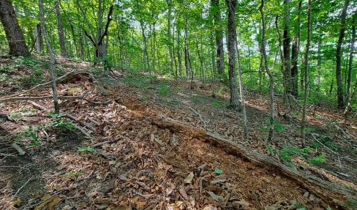 Photo #2 of SOLD property in 545 Trott Circle, Martinsville, VA 89.4 acres