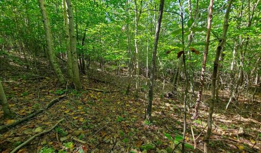 Photo #9 of SOLD property in 545 Trott Circle, Martinsville, VA 89.4 acres