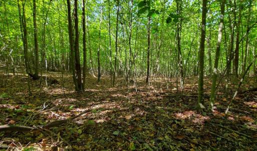Photo #10 of SOLD property in 545 Trott Circle, Martinsville, VA 89.4 acres