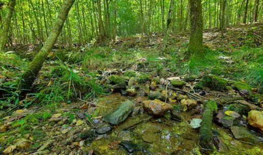 Photo #12 of SOLD property in 545 Trott Circle, Martinsville, VA 89.4 acres