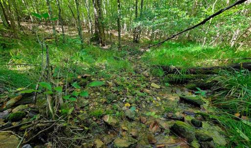 Photo #13 of SOLD property in 545 Trott Circle, Martinsville, VA 89.4 acres