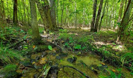 Photo #14 of SOLD property in 545 Trott Circle, Martinsville, VA 89.4 acres